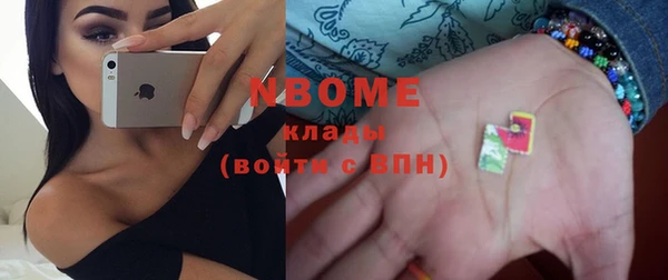 шишки Верея